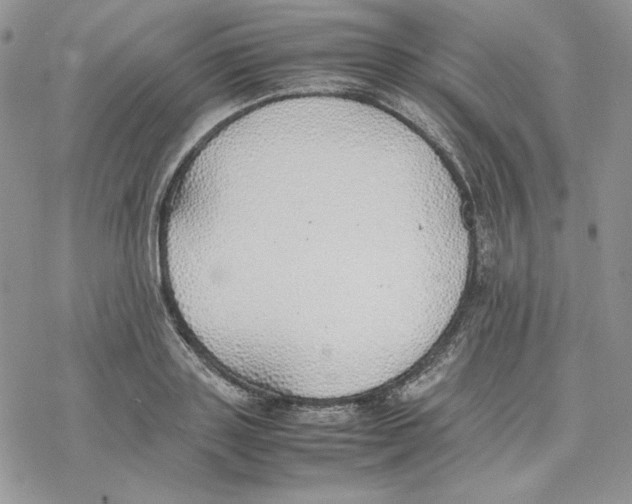 X0000077280843200611171600