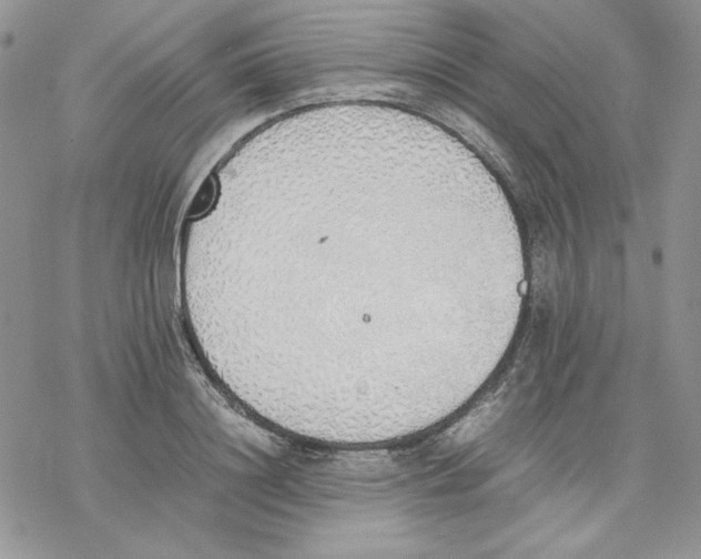 X0000077280844200611171600