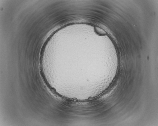 X0000077280845200611171600