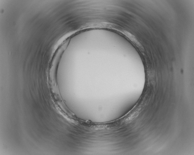 X0000077280846200611171600