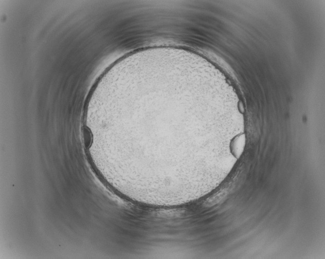 X0000077280847200611171600