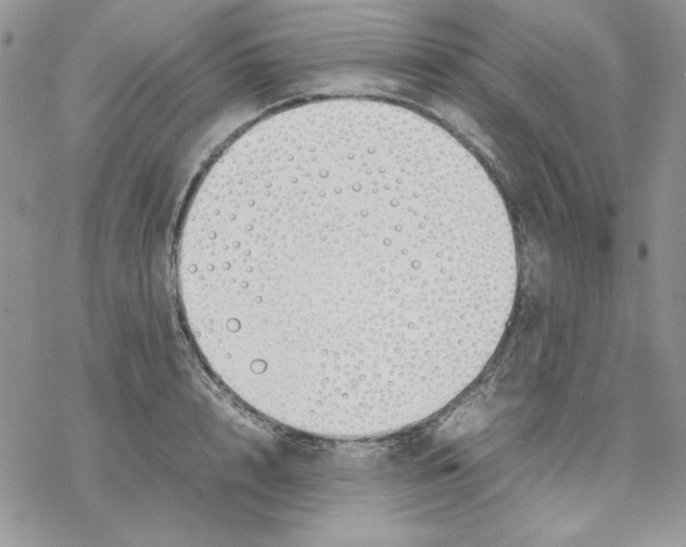 X0000077280848200611171600