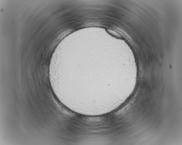 X0000077280849200611171600