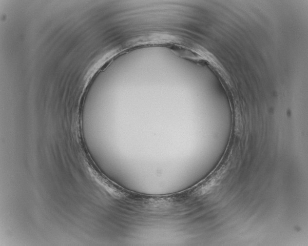 X0000077280850200611171600