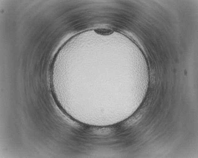 X0000077280851200611171600