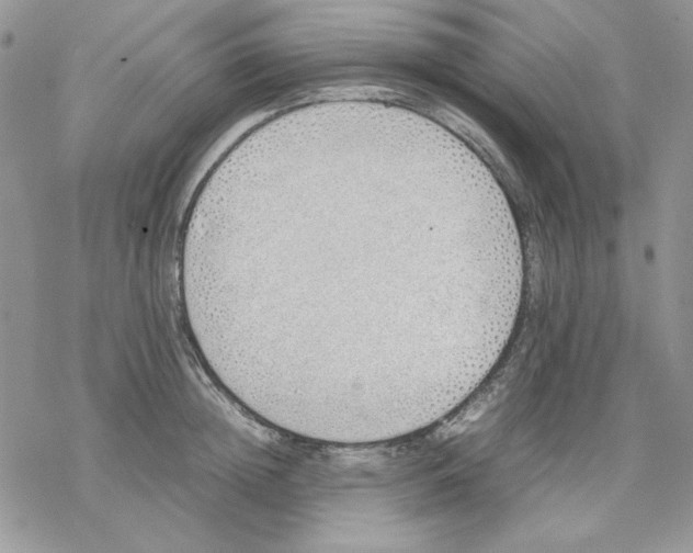 X0000077280852200611171600