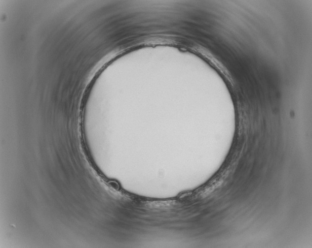 X0000077280853200611171600