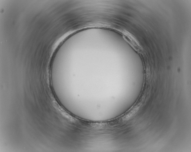 X0000077280854200611171600