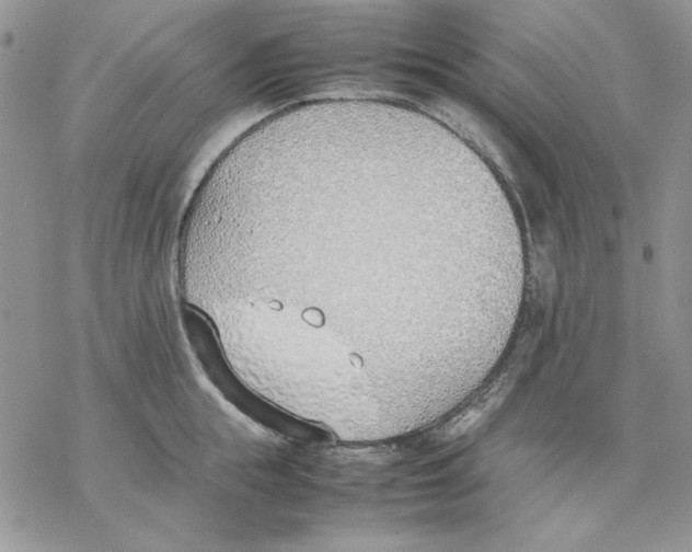 X0000077280855200611171600