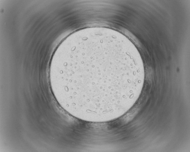 X0000077280856200611171600