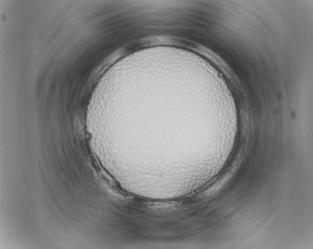 X0000077280857200611171600