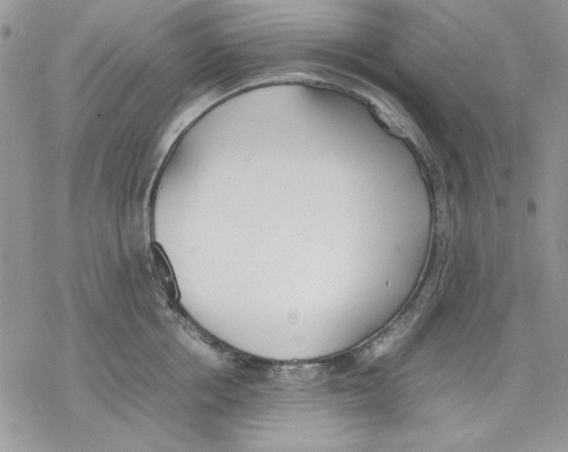 X0000077280858200611171600