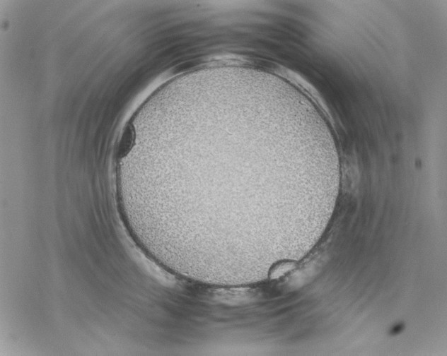 X0000077280859200611171600