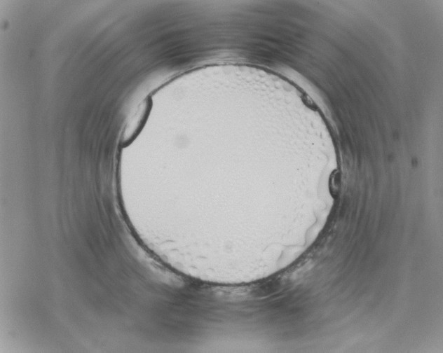 X0000077280861200611171600