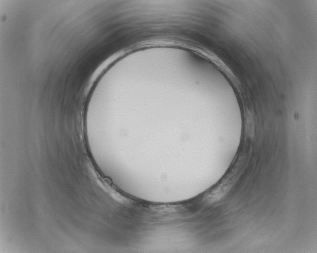 X0000077280862200611171600