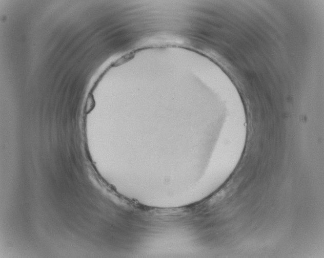 X0000077280864200611171600