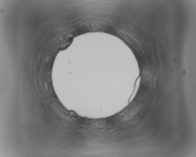 X0000077280865200611171600