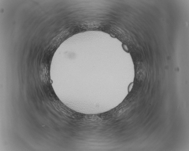 X0000077280866200611171600