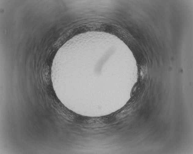 X0000077280867200611171600