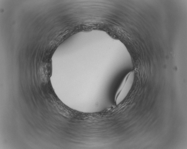 X0000077280868200611171559