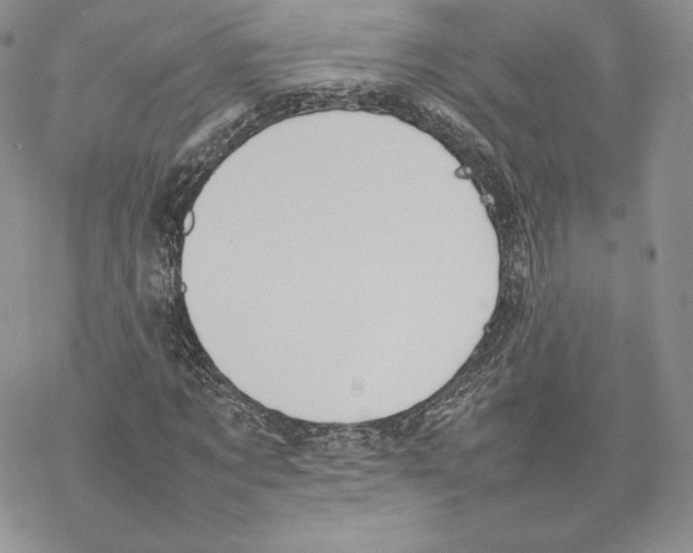 X0000077280869200611171559