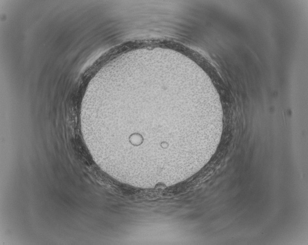 X0000077280871200611171559