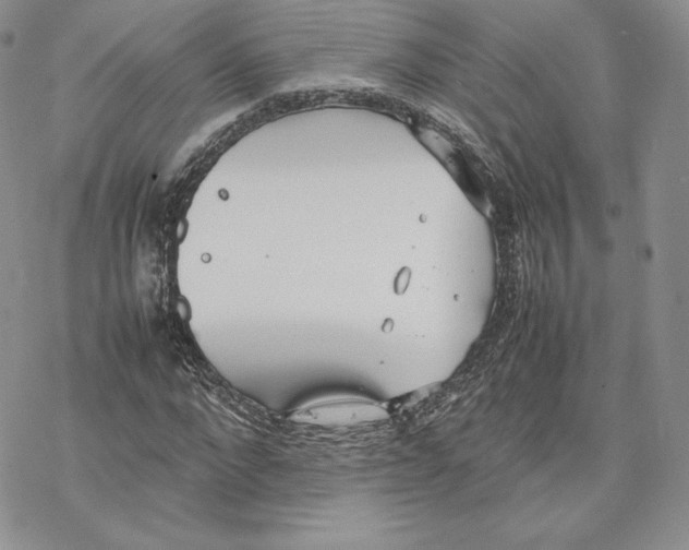 X0000077280872200611171559