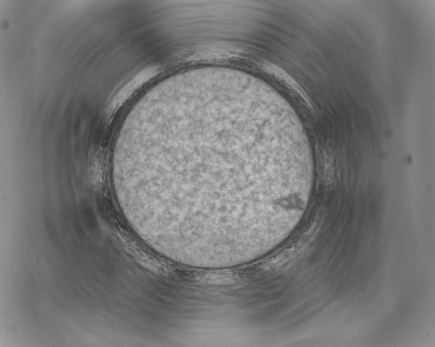 X0000077280874200611171559