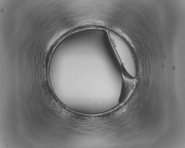 X0000077280877200611171559