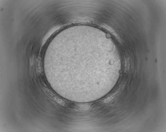 X0000077280878200611171559