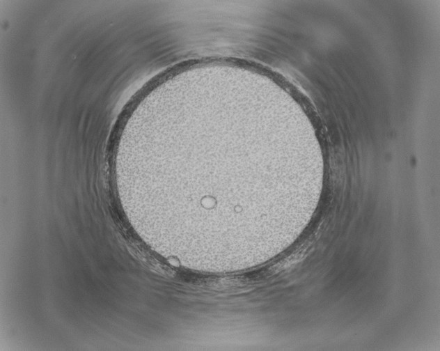 X0000077280879200611171559