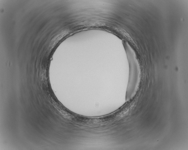 X0000077280881200611171559