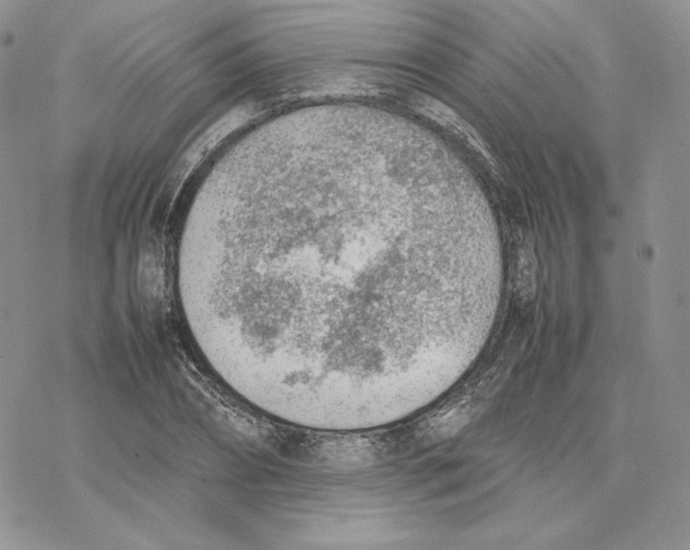 X0000077280882200611171559