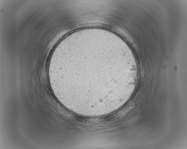 X0000077280883200611171559