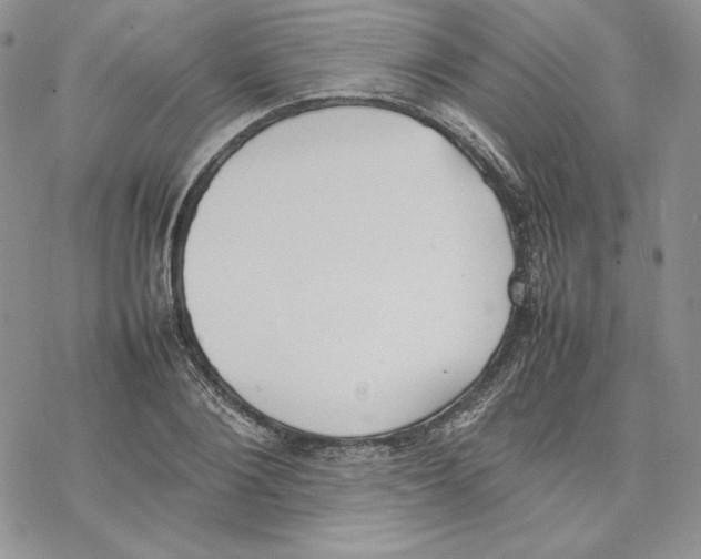 X0000077280884200611171559