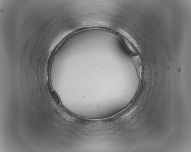 X0000077280885200611171559