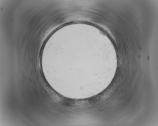 X0000077280887200611171559