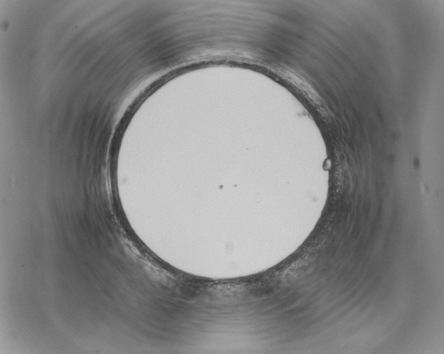 X0000077280888200611171559