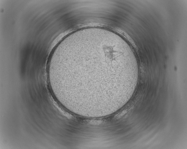 X0000077280890200611171559