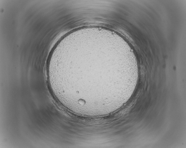 X0000077280891200611171559