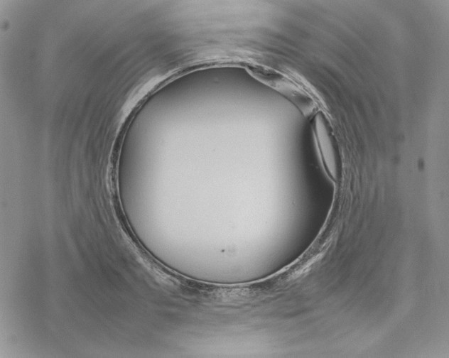 X0000077280893200611171559