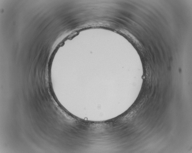 X0000077280894200611171559