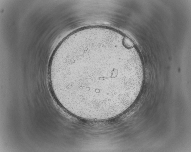 X0000077280895200611171559