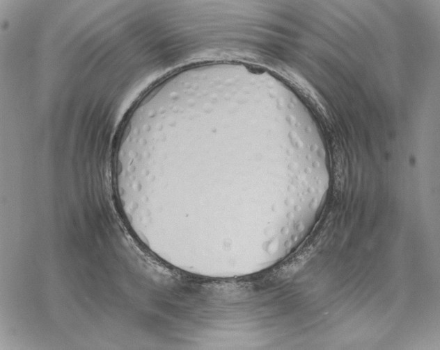 X0000077280896200611171559