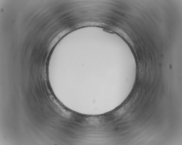 X0000077280898200611171559