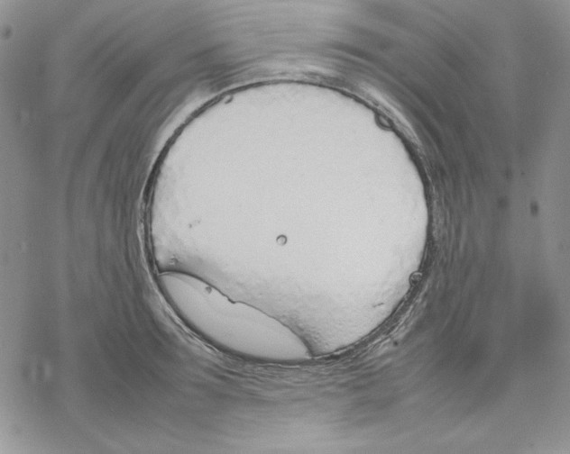 X0000077280899200611171559