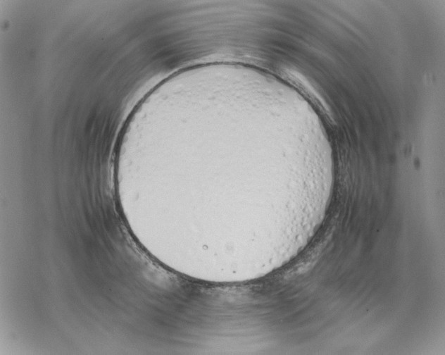 X0000077280900200611171559