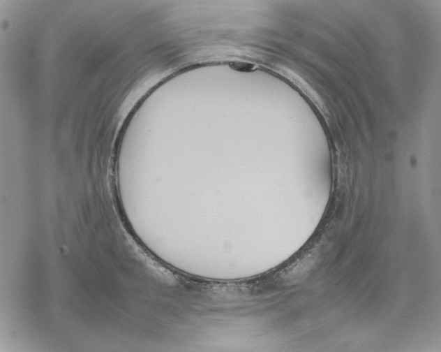 X0000077280901200611171559