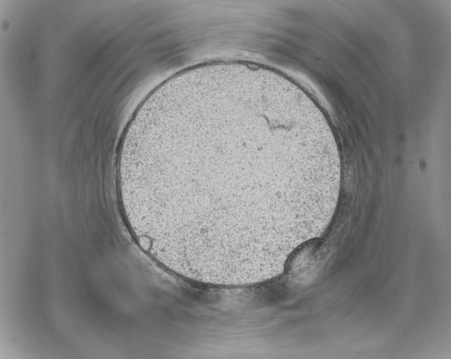 X0000077280903200611171559