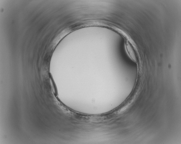 X0000077280905200611171559